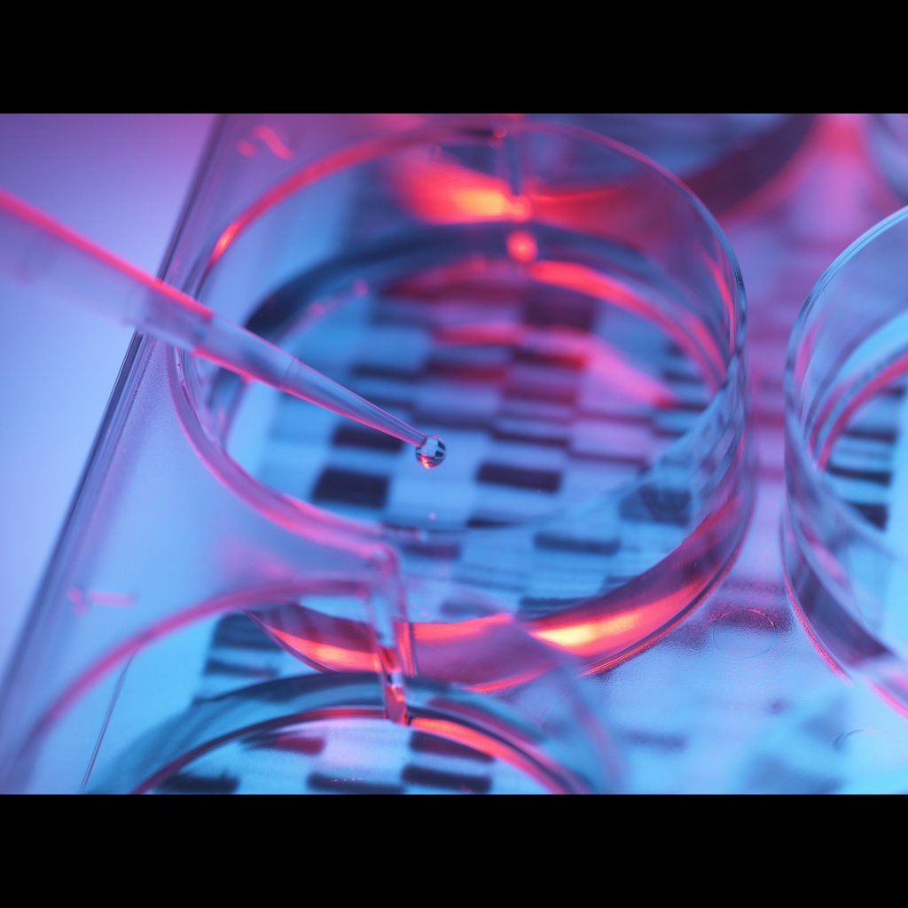 Deoxyribonuclease I (DNase I) GMP-grade (2 U/μL)-2000 U