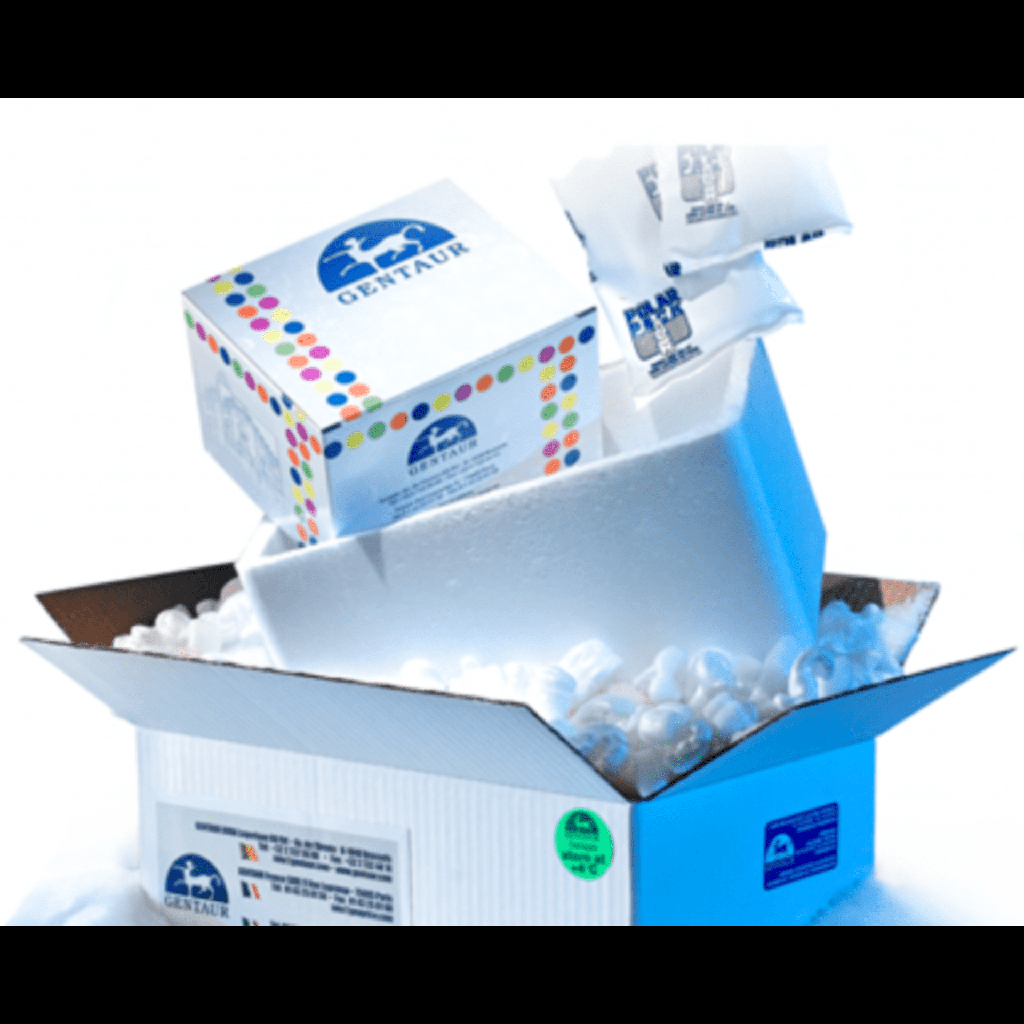 BCA Protein Quantification Kit BCA-2500T(500 mL)