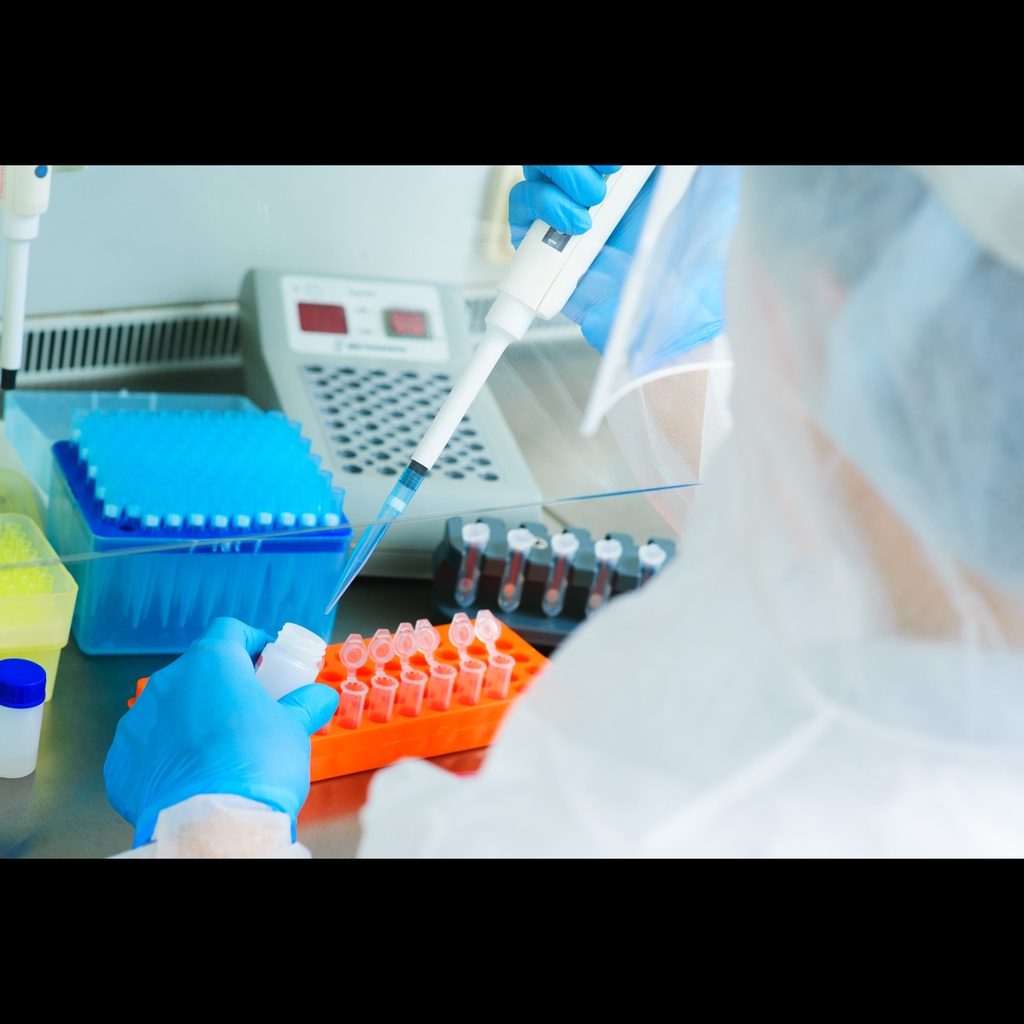 Filaria spp. PCR Kit size:  96 rxs