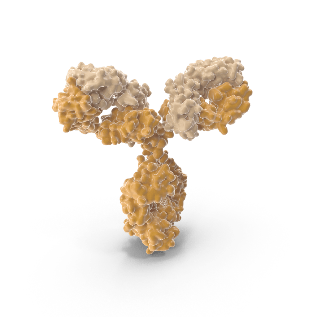 Mouse Anti-Poliovirus type 1 Monoclonal antibody, Clone IZC 296-16